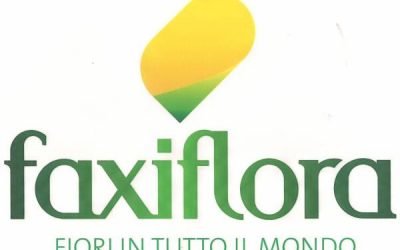 Servizio di consegna a domicilio