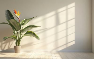 Piante e fiori artificiali