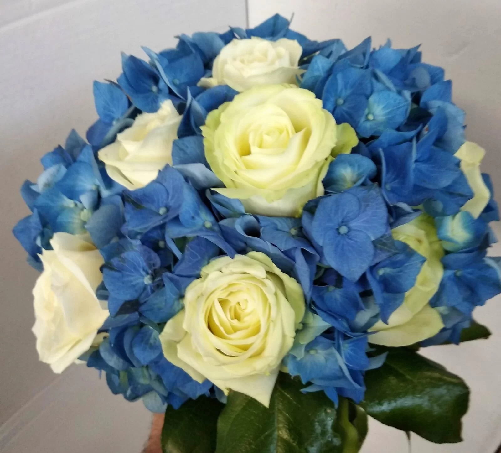 Consegna fiori e piante a domicilio a Mestre