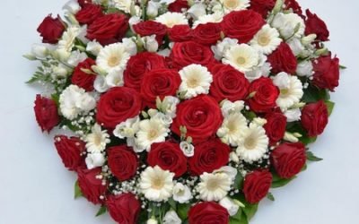 Forniture per servizi funebri